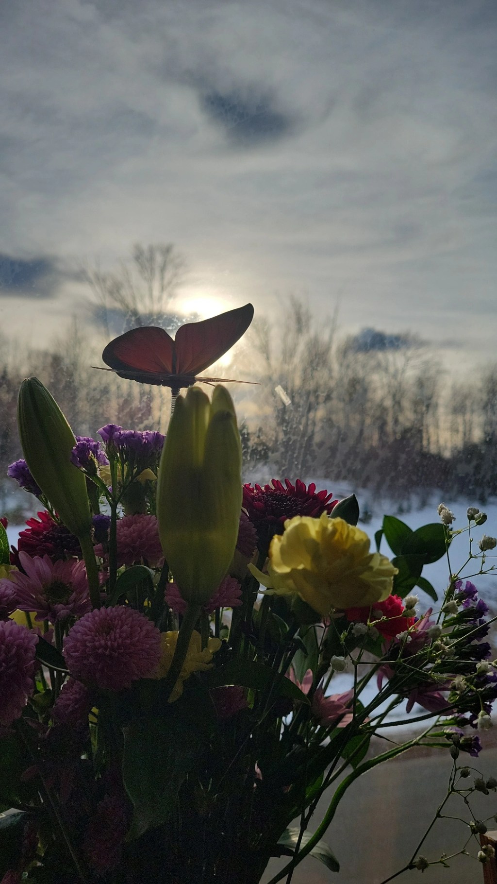 Navigating Grief: A Caregiver’s Journey